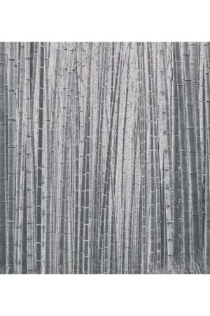 Prix Bas ARASHIYAMA